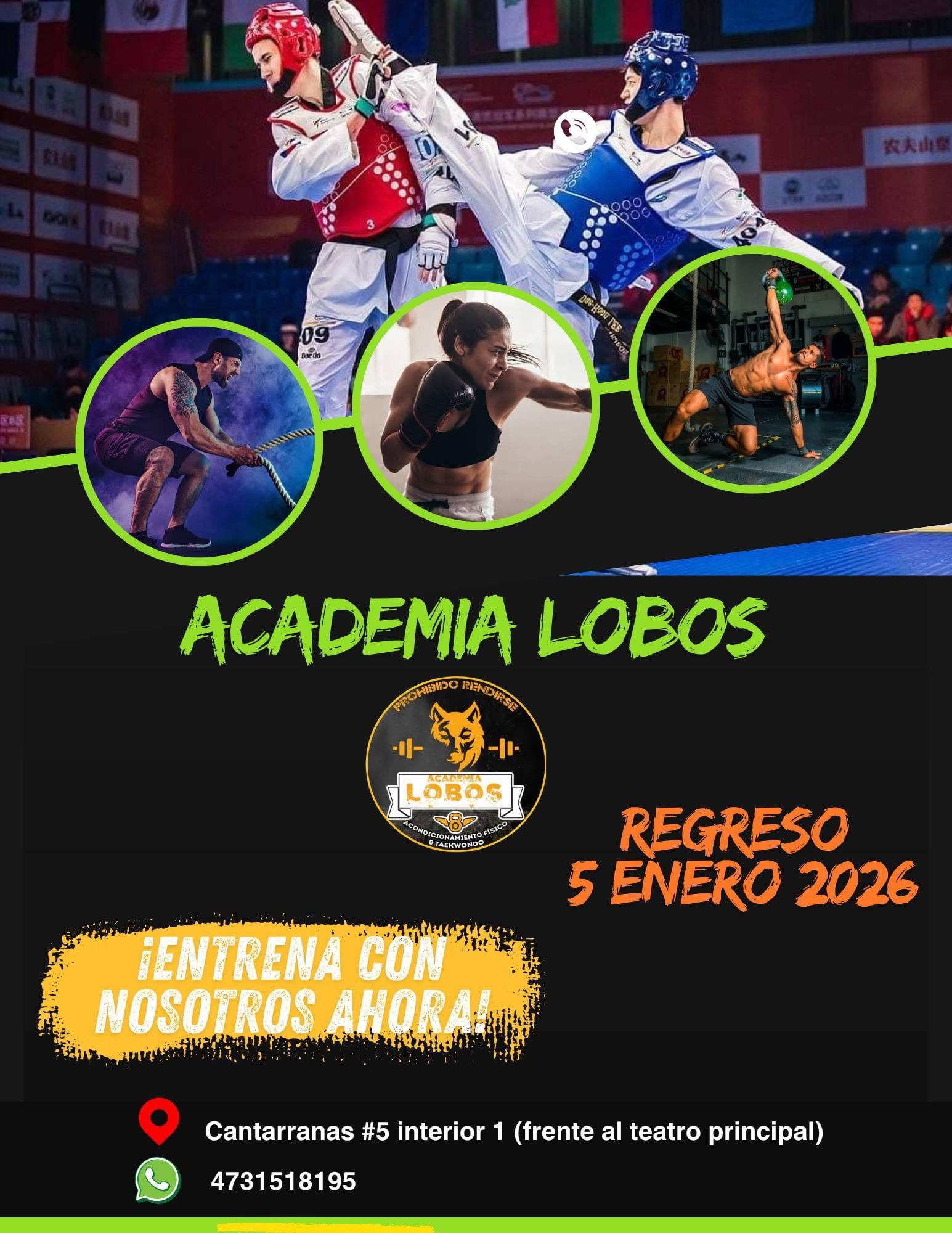 Taekwondo y entrenamiento de Academia Lobos
