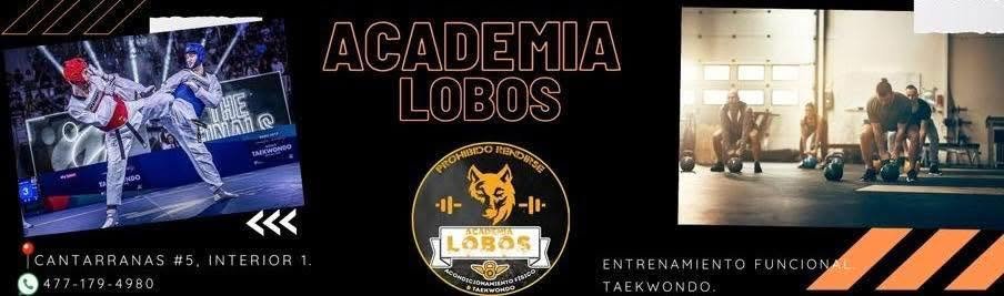 Entrenamiento funcional y Taekwondo en Academia Lobos